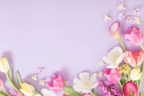 Flores Primavera Multicoloridas Fundo Roxo — Fotografia de Stock