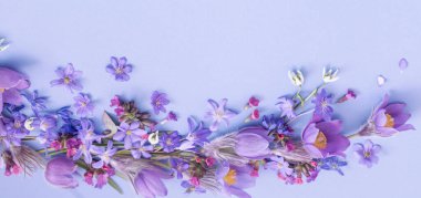 beautiful spring flowers on blue background clipart