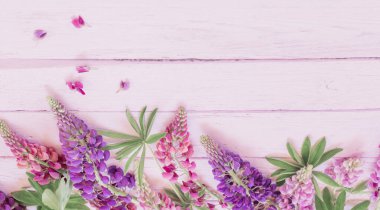 Lupine pembe ahşap zemin üzerine