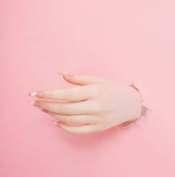 Vrouwelijke Handen Met Mooie Lange Nagels Met Manicure Roze Papieren — Stockfoto