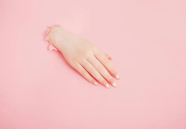 Kobiece Ręce Pięknymi Długimi Paznokciami Manicure Różowym Tle Papieru — Zdjęcie stockowe