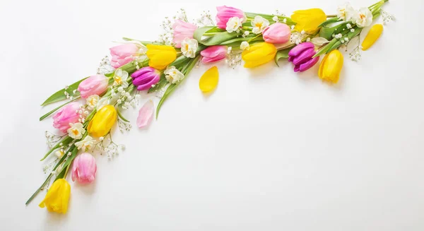 Frühlingsblumen Auf Weißem Hintergrund — Stockfoto