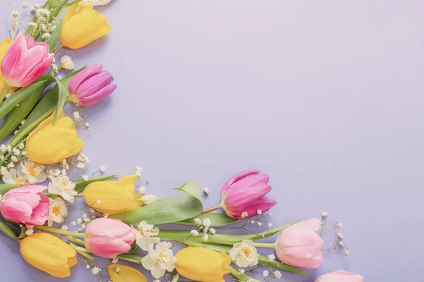 Spring Flowers Blue Paper Background — Stock Photo, Image