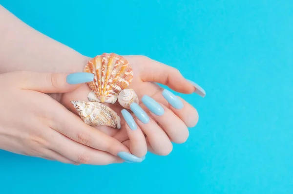 Żeńska Ręka Manicure Muszlą Morską Niebieskim Tle — Zdjęcie stockowe