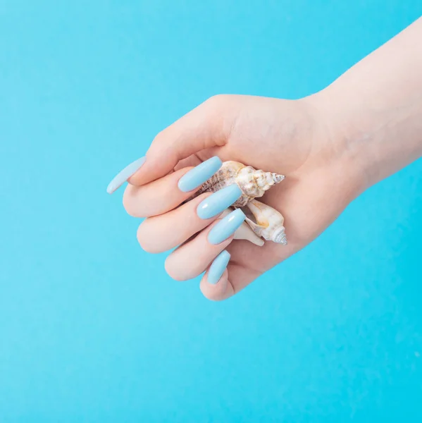 Żeńska Ręka Manicure Muszlą Morską Niebieskim Tle — Zdjęcie stockowe