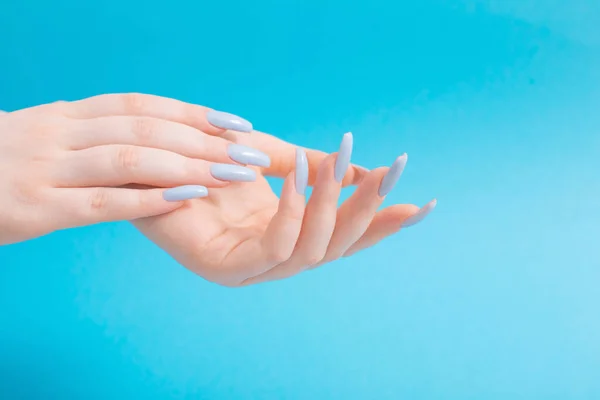 female hands with beautiful blue manicure  on blue background