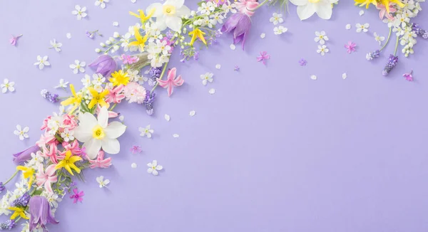 Krásné Jarní Květiny Papíře Pozadí — Stock fotografie