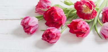 Beyaz ahşap zemin üzerinde kırmızı laleler