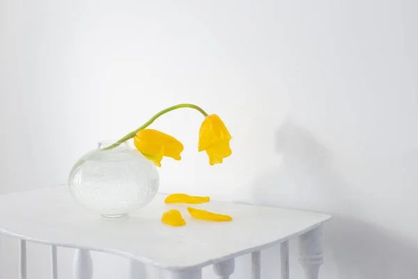 Κίτρινες Τουλίπες Γυάλινο Βάζο Λευκό Δωμάτιο — Φωτογραφία Αρχείου