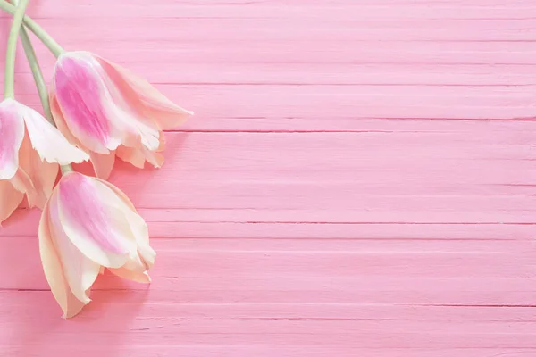 Roze Gele Tulpen Beschilderde Houten Ondergrond — Stockfoto