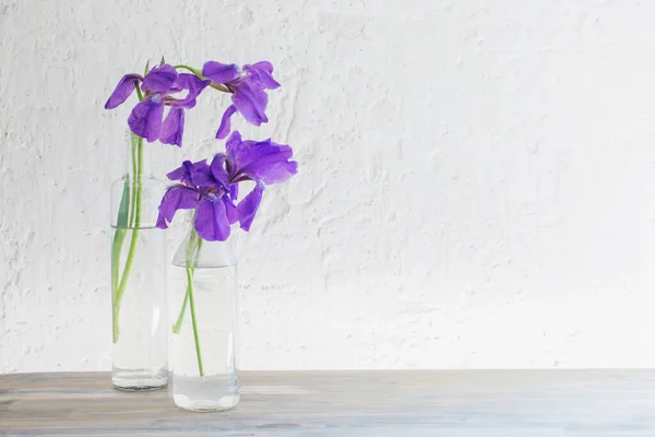 背景白色旧墙上花瓶中的虹膜 — 图库照片