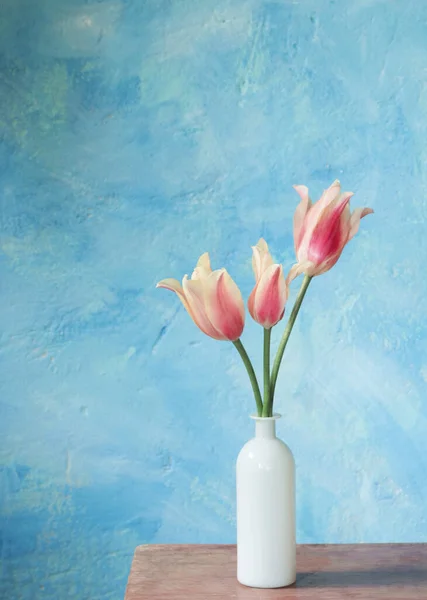 蓝色底色花瓶中的郁金香 — 图库照片
