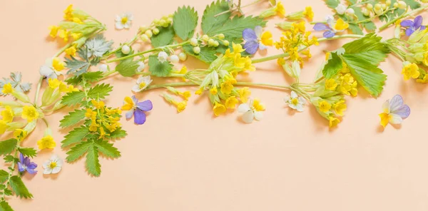 Wild Flowers Paper Background — Stock Photo, Image