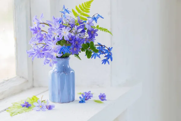 窗台上的蓝色雪花莲 — 图库照片
