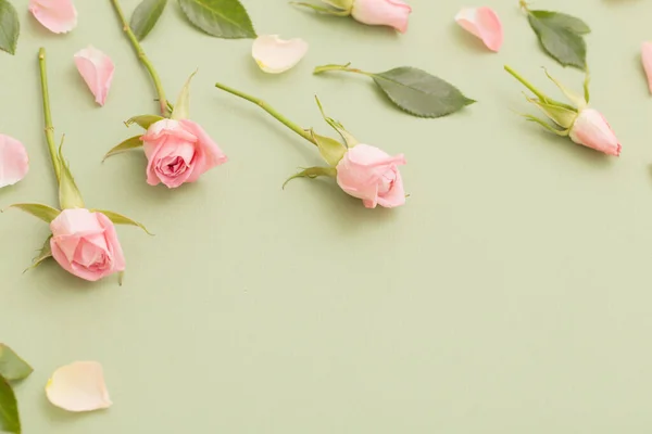Różowe Białe Kwiaty Zielonym Tle Papieru — Zdjęcie stockowe