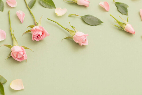 pink and white flowers on green  paper  background