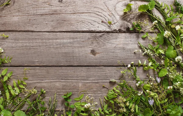 Wildpflanzen Auf Altem Dunklen Holzgrund — Stockfoto