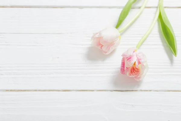 Два Тюльпана Белом Деревянном Фоне — стоковое фото