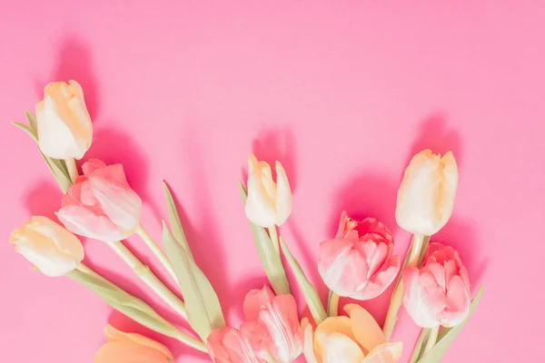 Όμορφες Τουλίπες Ροζ Χάρτινο Φόντο — Φωτογραφία Αρχείου