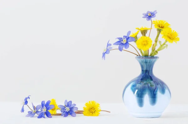 白色背景花瓶中的春花 — 图库照片