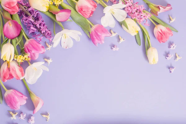 Fleurs Printemps Multicolores Sur Fond Violet — Photo