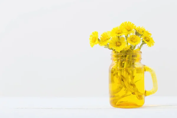 Coltsfoot Bloemen Gele Pot Witte Achtergrond — Stockfoto