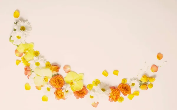 Hermoso Patrón Floral Amarillo Naranja Sobre Fondo Blanco — Foto de Stock