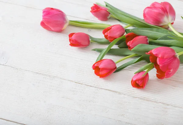 Różowe Tulipany Białym Tle Drewniane — Zdjęcie stockowe