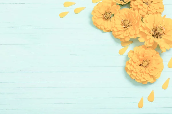 Żółte Kwiaty Cynku Niebieskim Drewnianym Tle — Zdjęcie stockowe