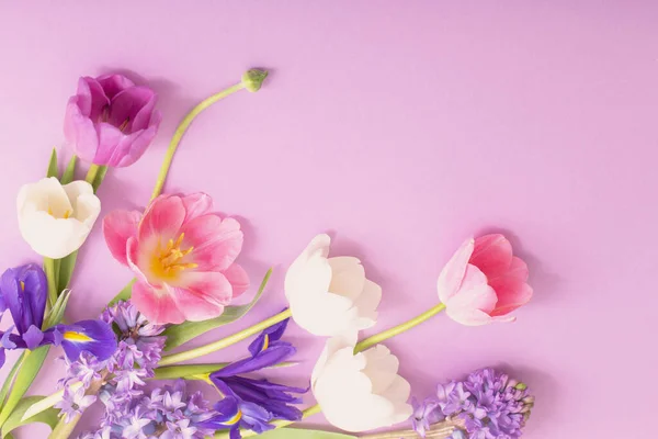 Красивые Цветы Бумажном Фоне — стоковое фото