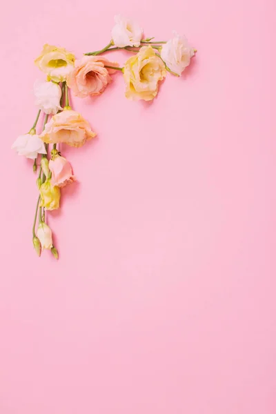 ピンクを背景にした春の美しい花 — ストック写真