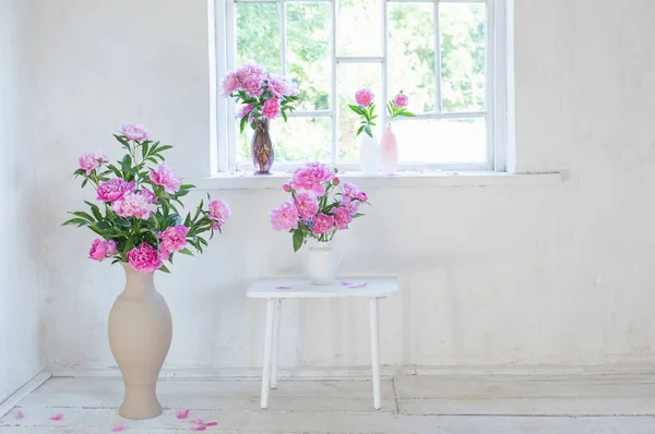 Rosa Pfingstrose Vase Auf Grunge Weißem Interieur — Stockfoto