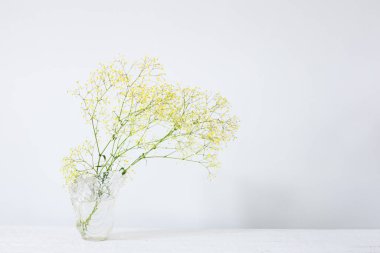 Beyaz odadaki cam vazoda sarı çigila.