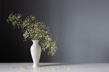 Gri arkaplanda beyaz vazoda çikila çiçekleri