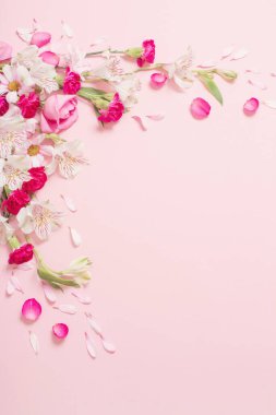 Pembe arka planda güzel pembe ve beyaz çiçekler