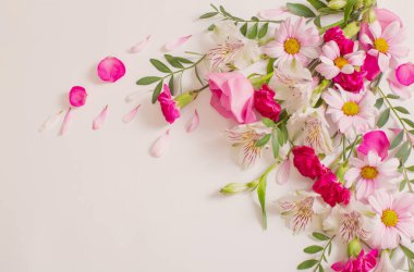 Beyaz arka planda güzel pembe ve beyaz çiçekler