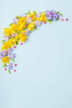 Mavi kağıttan arka planda bahar çiçekleri