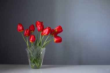 Kırmızı laleler cam vazoda mavi duvarda