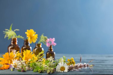 tıbbi bitkiler ve kahverengi şişeler mavi arka planda