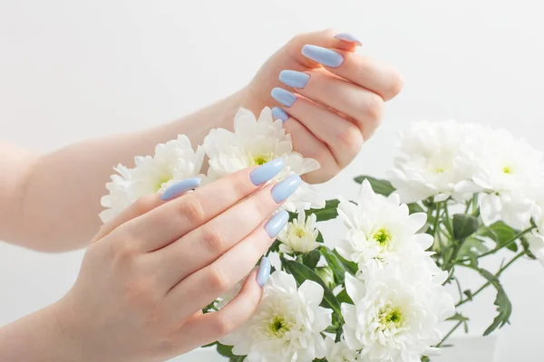 Mãos Femininas Com Belas Flores Manicure Crisântemo — Fotografia de Stock