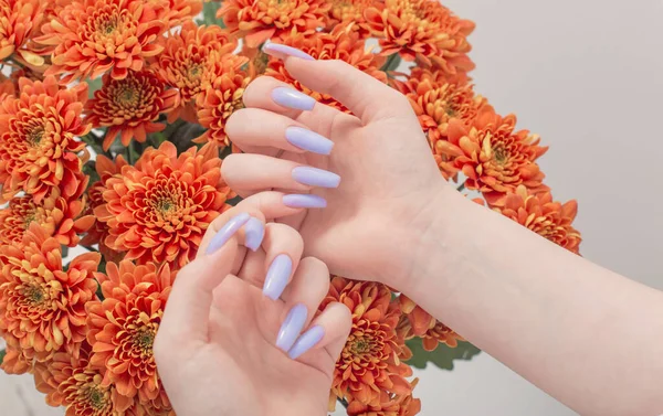 Vrouwelijke Handen Met Mooie Manicure Chrysant Bloemen — Stockfoto