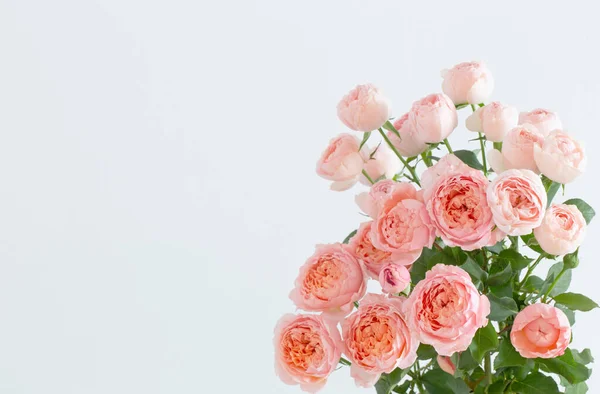 Piękne Róże Kwiaty Bukiet Białym Tle — Zdjęcie stockowe