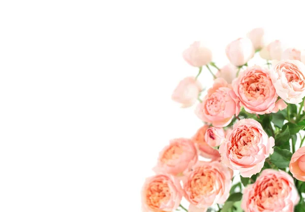 白い背景に孤立した美しいバラの花花束 — ストック写真