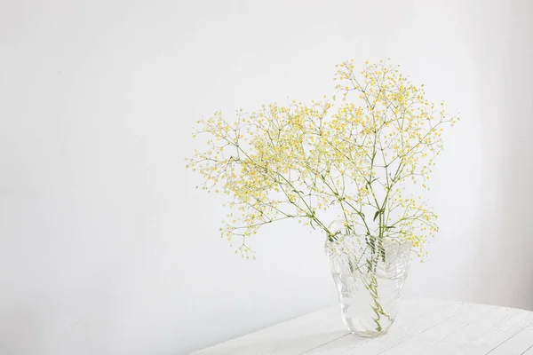 Gelbe Gipsophila Glasvase Weißen Raum — Stockfoto