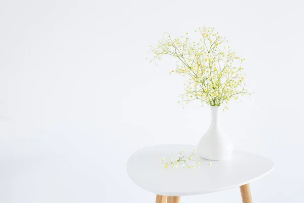 Gypsophila Jaune Vase Blanc Sur Fond Blanc — Photo