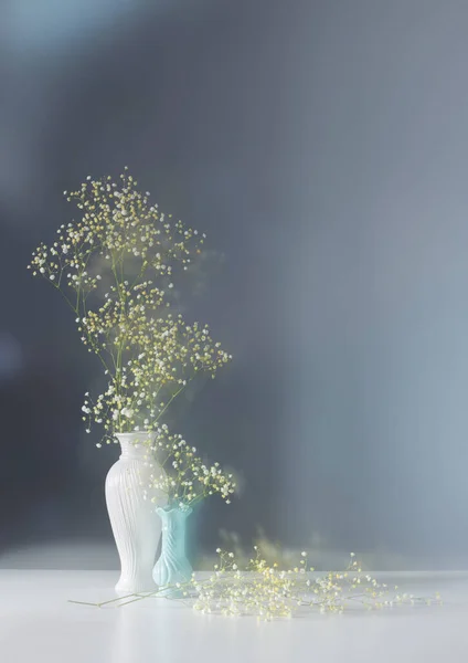Квіти Гіпсофіли Білій Вазі Синьому Фоні — стокове фото