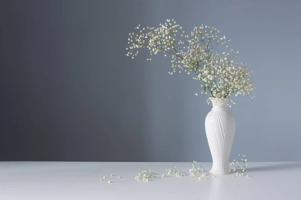 Gypsophila Fleurs Vase Blanc Sur Fond Bleu — Photo
