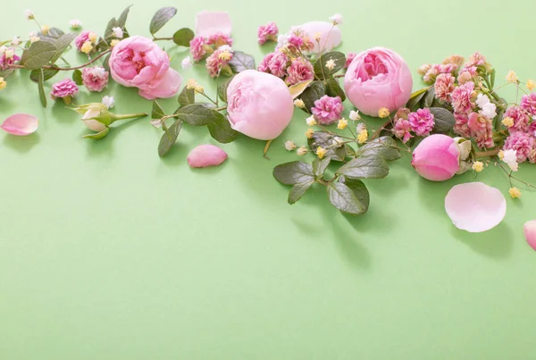 緑の背景にピンクの花と緑の葉 — ストック写真
