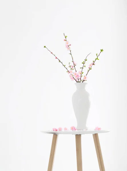 Branches Blossoming Almonds Vase White Background — Stock Photo, Image