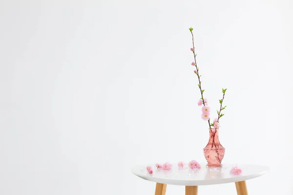 Ветви Цветущего Миндаля Розовой Стеклянной Вазе Белом Фоне — стоковое фото